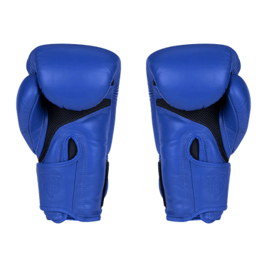 Blue Muay Thai Boxing Gloves from Top King Boxing - view of palm