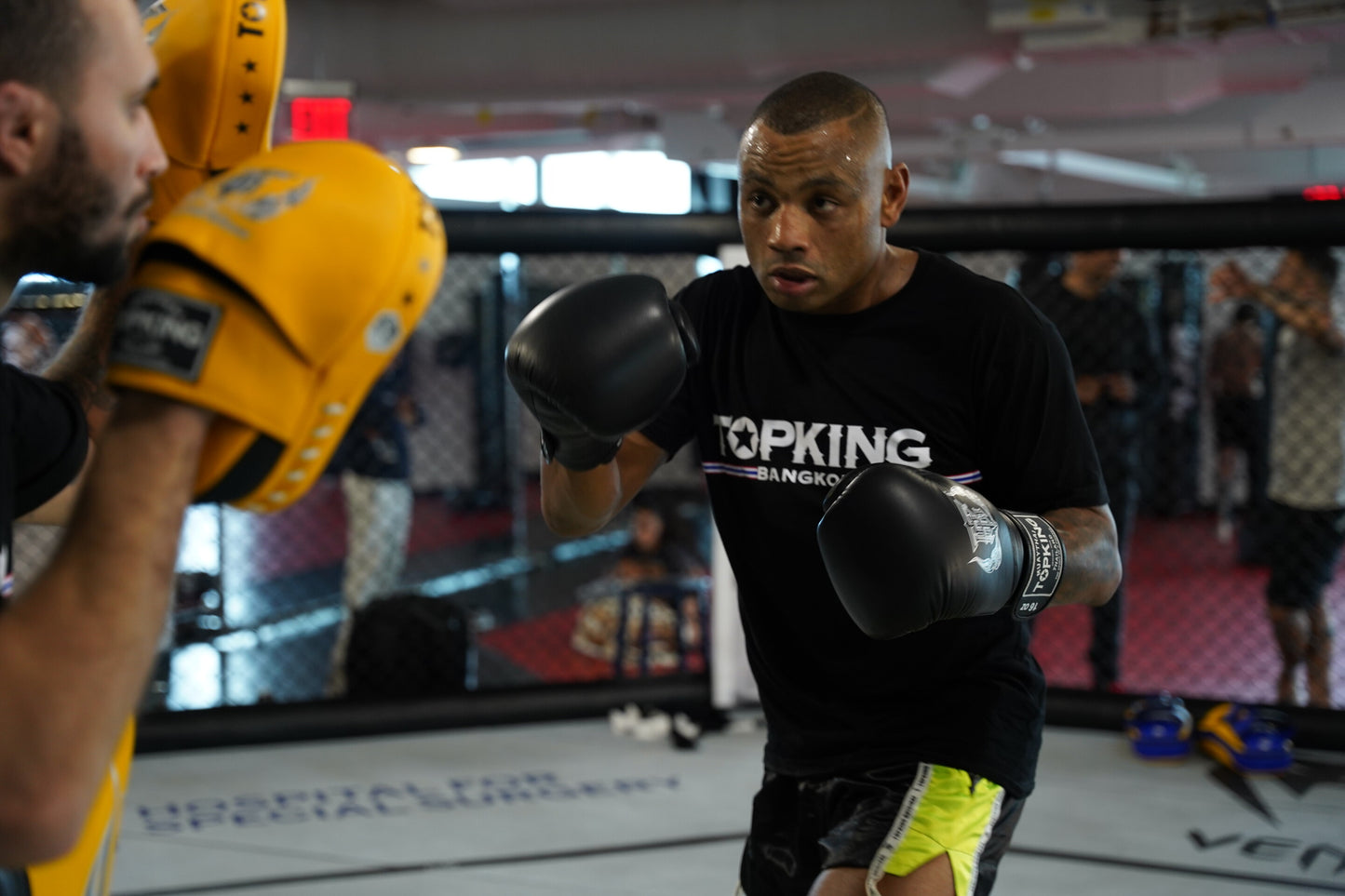 Black Top King Boxing Gloves worn by UFC fighter