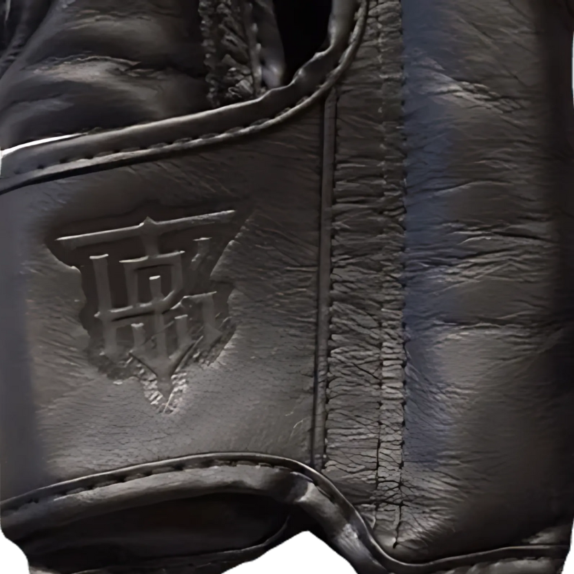 Top King logo on Muay Thai gloves