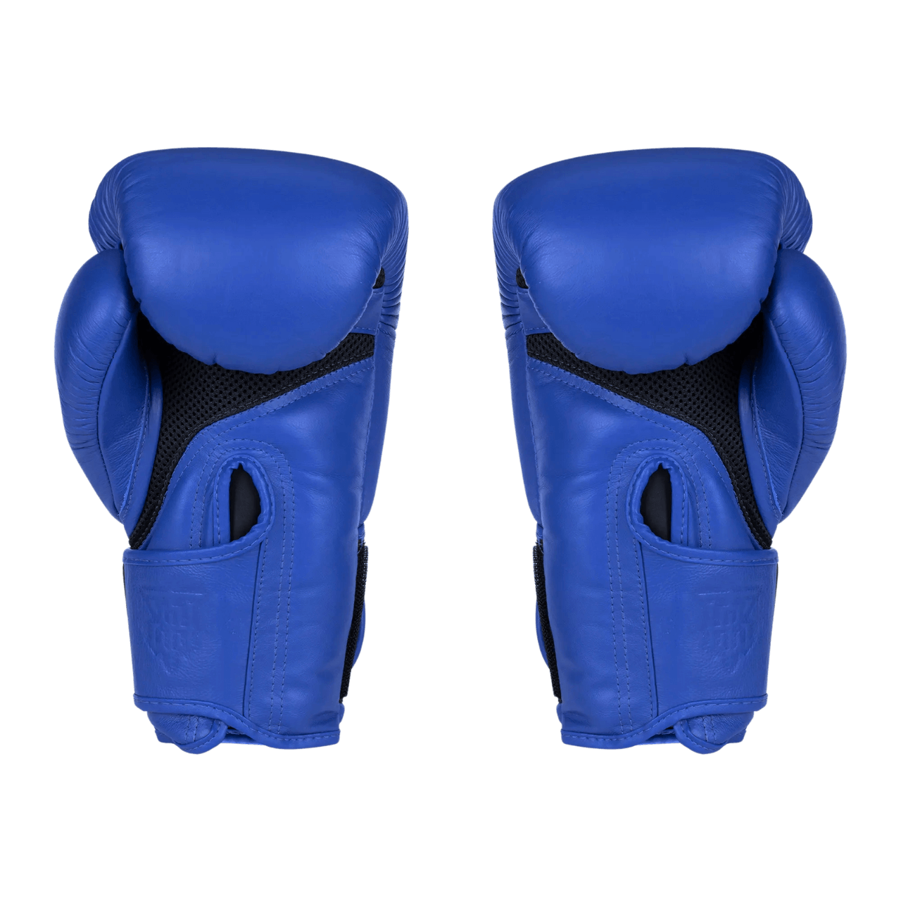 Blue Muay Thai Boxing Gloves from Top King Boxing - view of palm