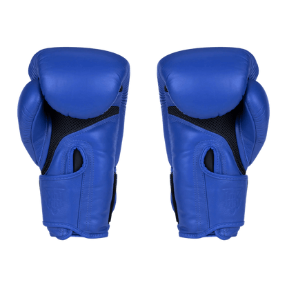 Blue Muay Thai Boxing Gloves from Top King Boxing - view of palm